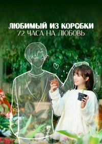Любимый из коробки: 72 часа на любовь (2024)