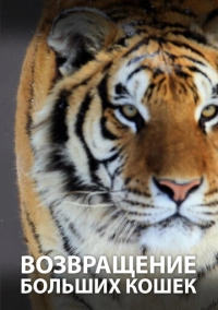 Возвращение больших кошек (2020)