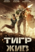 Тигр жив (2017)
