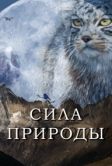 Сила природы (2020)